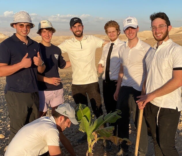 Boys with shovels